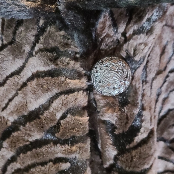 AMERICAN SIGNATURE FULL LENGHT FAUX FUELEGANT COAT - Picture 14 of 15